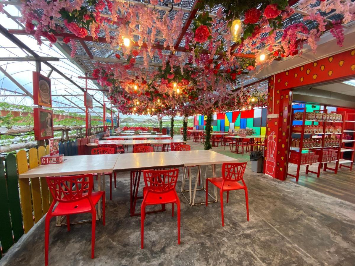 Aiza Homestay Opposite Abang Strawberry Taman Sedia Tanah Rata Kültér fotó