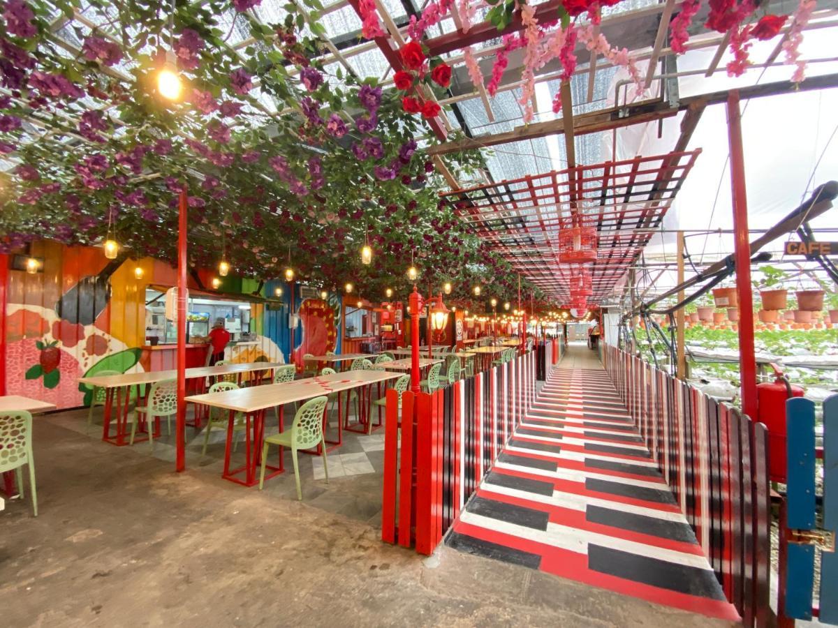 Aiza Homestay Opposite Abang Strawberry Taman Sedia Tanah Rata Kültér fotó