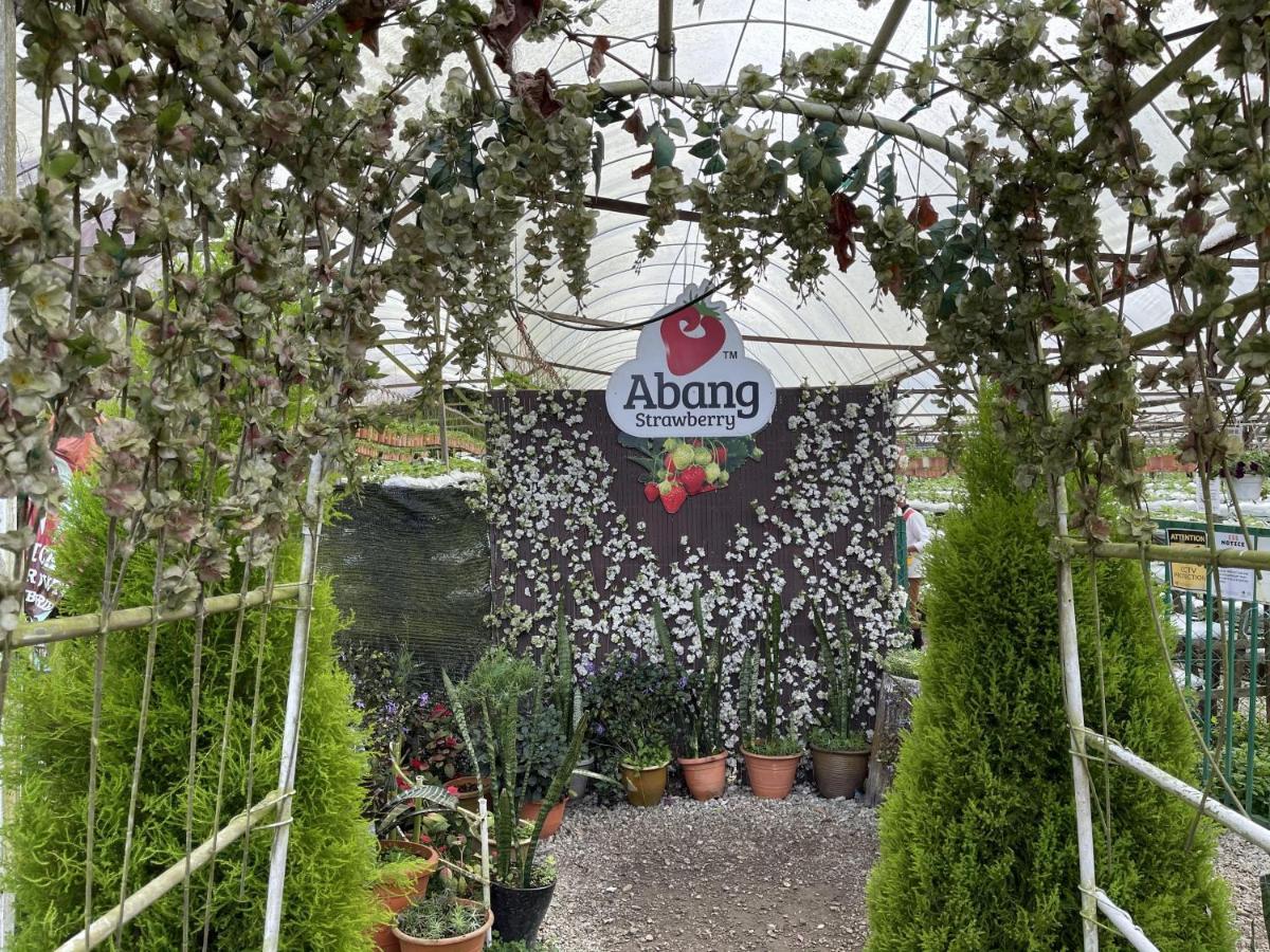 Aiza Homestay Opposite Abang Strawberry Taman Sedia Tanah Rata Kültér fotó